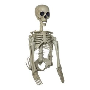 Skeleton Halloween Decoration